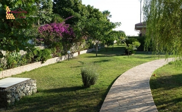Magico Eden